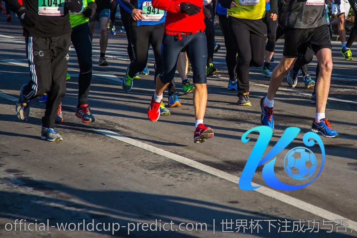 世界杯下注成功与否，关键因素是什么？