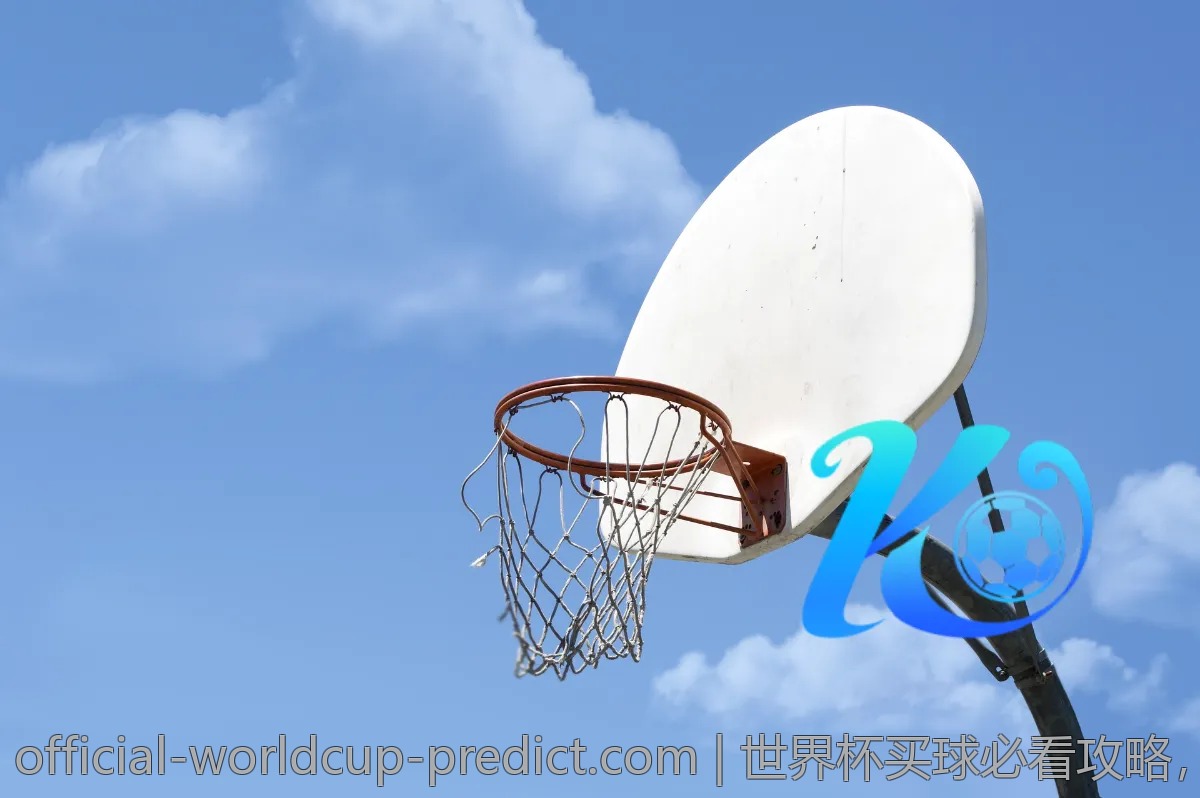 世界杯买球必看攻略，收藏这篇让你稳中求胜