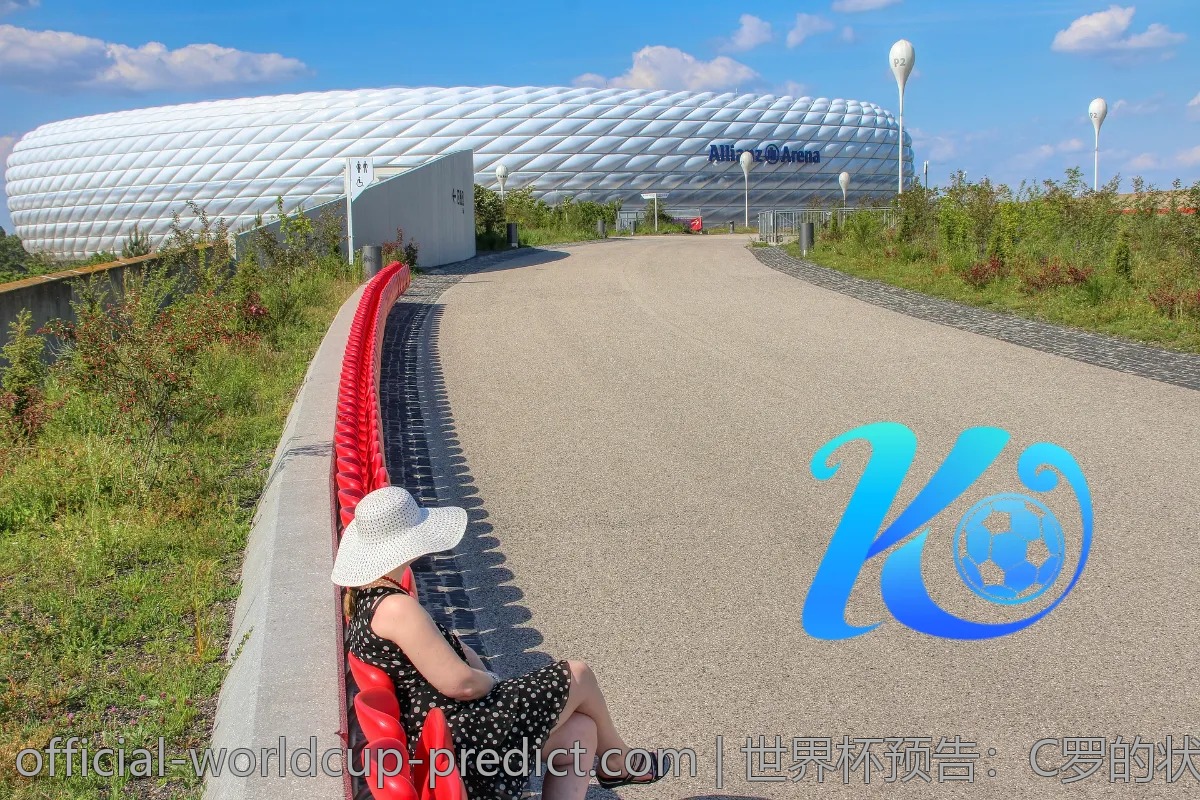 2026世界杯：谁会是最后的赢家？赔率分析推荐