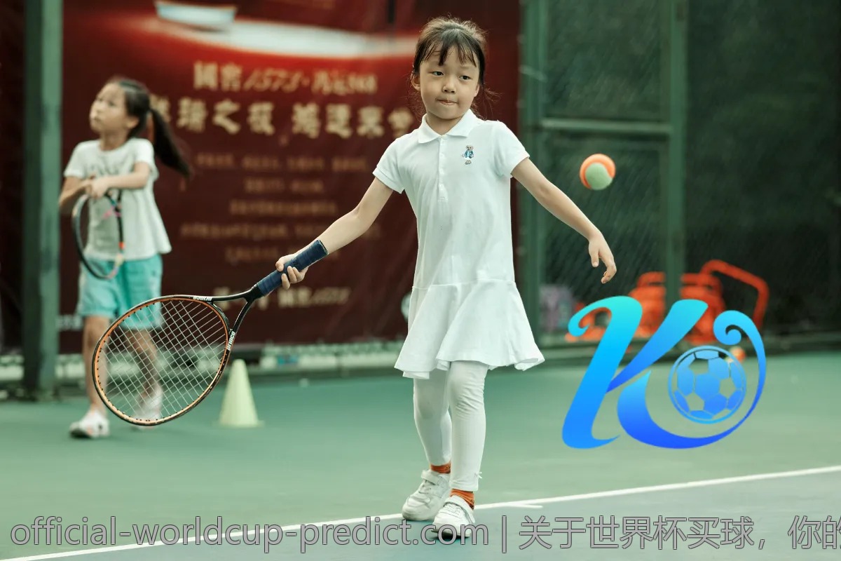 关于世界杯买球，你的关注点是什么？
